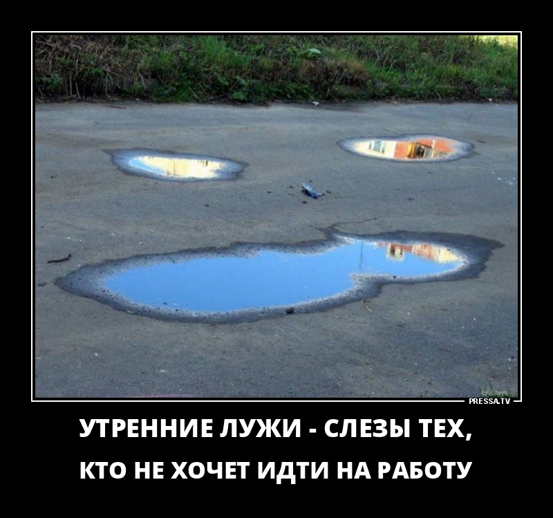 Смешные и веселые жизненные демотиваторы Смешные и веселые жизненные демотиваторы