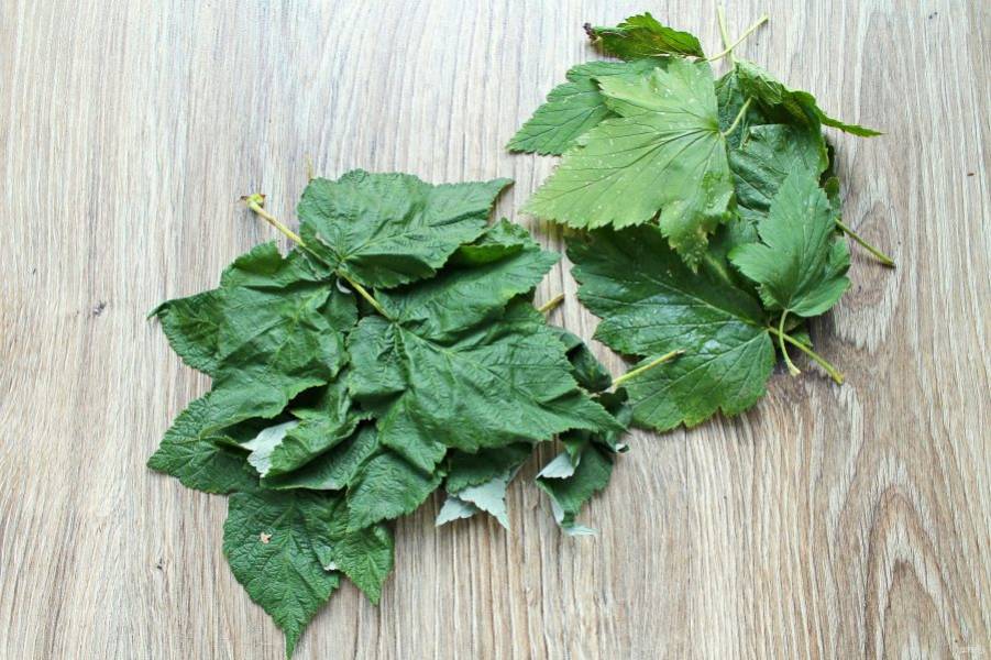 Какие листья малины подходят для чая, когда их собирать и как сушить