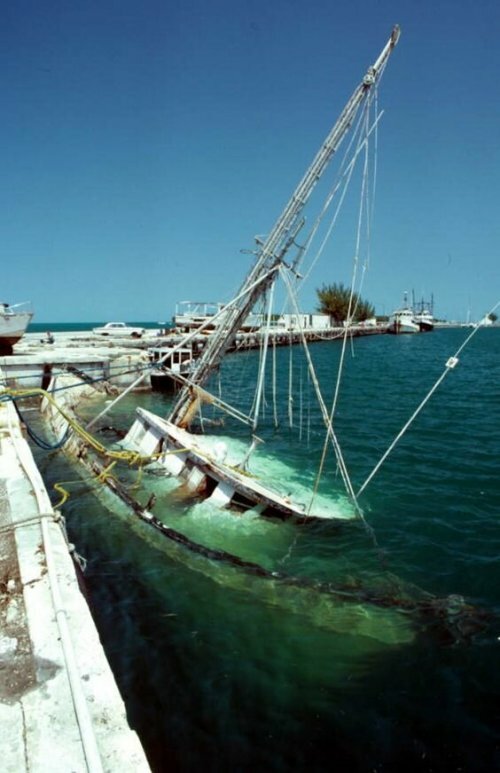 Тяжелая судьба морских судов
