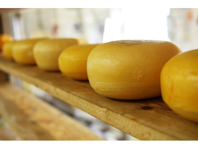 Онкология и «импортозамещение»: РФ вывозит здоровое питание, а ввозит — яд россия