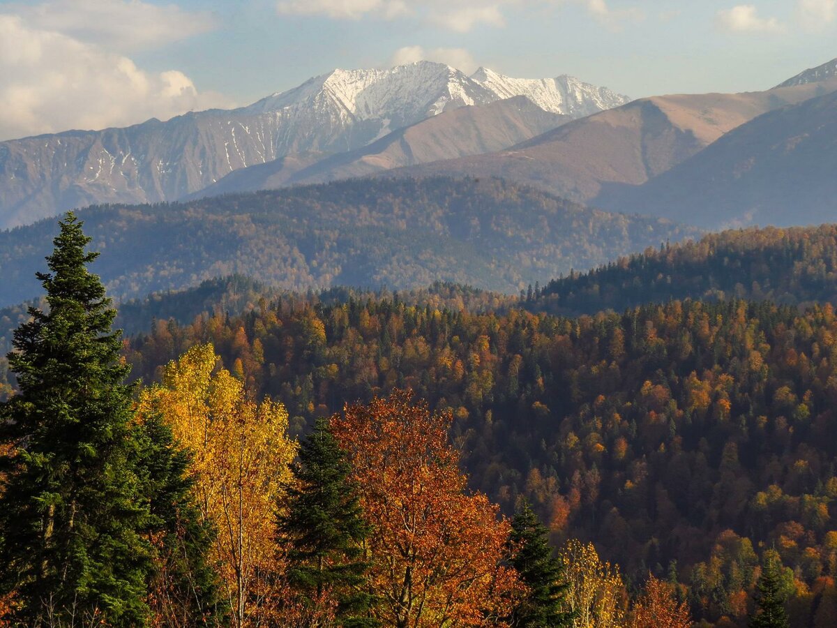 Осень в горах Кавказа прекрасна!