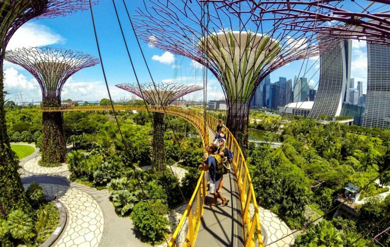Деревья, на которых растут деревья - необычный парк в Сингапуре архитектура,города,интересные факты,парки,путешествия,сингапур