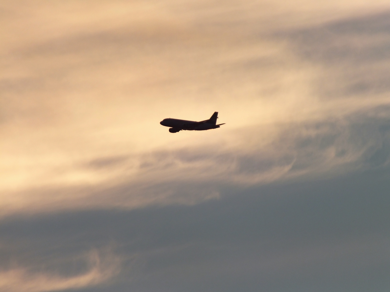 Вылетевший в Ереван самолёт вернулся в Тюмень: Известна причина