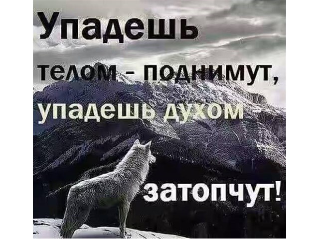 На тот свет пойдут одни старики… Украине, Украины, которые, Украину, страны, только, после, украинцев, стариков, украинские, коронавируса, будут, Украина, помощь, коронавирус, деньги, собирается, конечно, украинских, больных