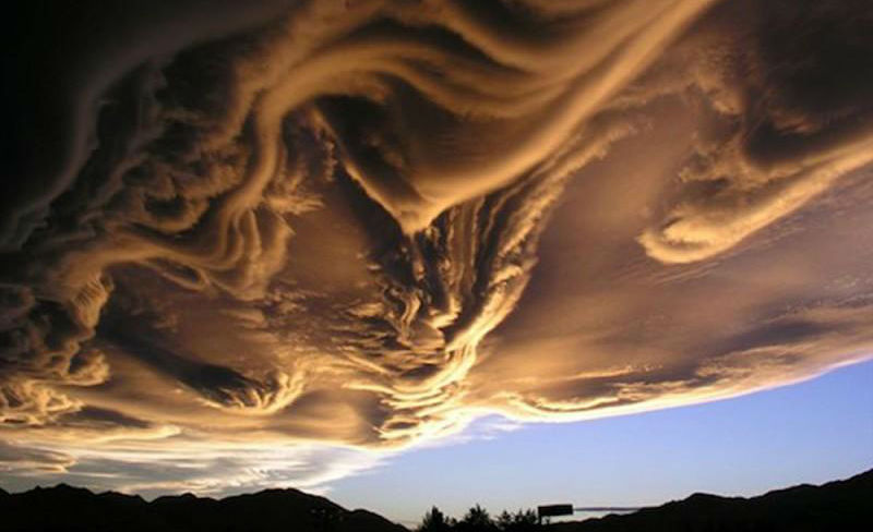 asperatus11-800x556