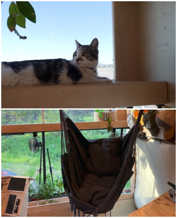 Для любимой кошки ничего не жалко, даже подвесного кресла (Aurora the Adventure Bus, США).