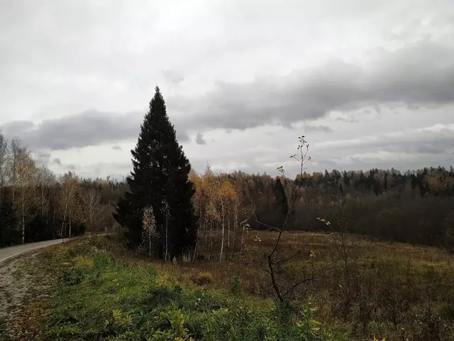 Октябрь, Подмосковье