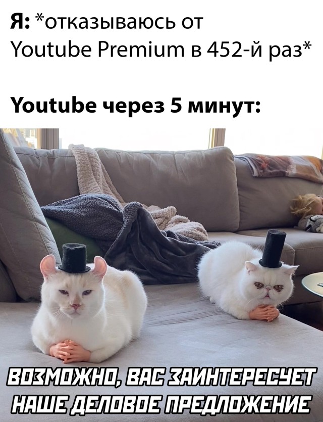 Подборка прикольных картинок Подборка прикольных картинок приколы,смешные картинки,юмор