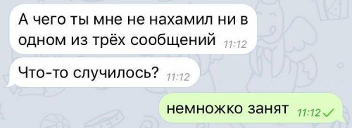 Свежие прикольные фото и картинки 