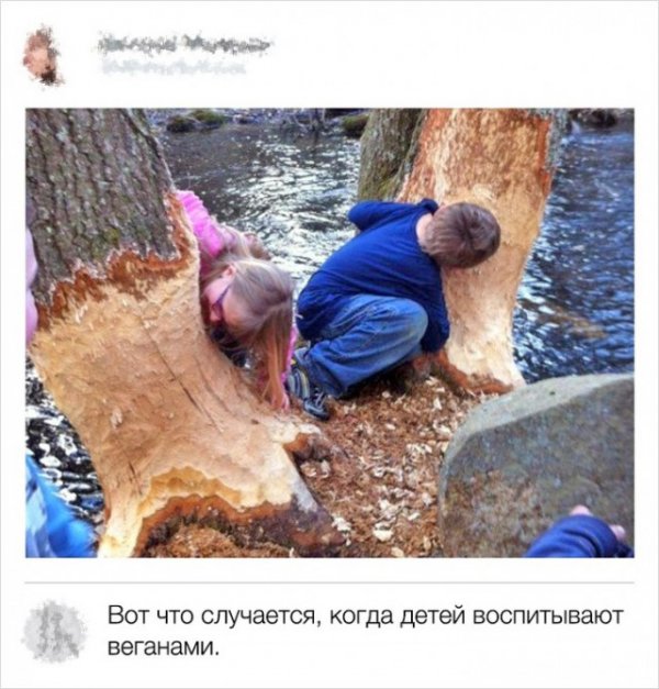 Комментарии от обладателей острых языков в интернете