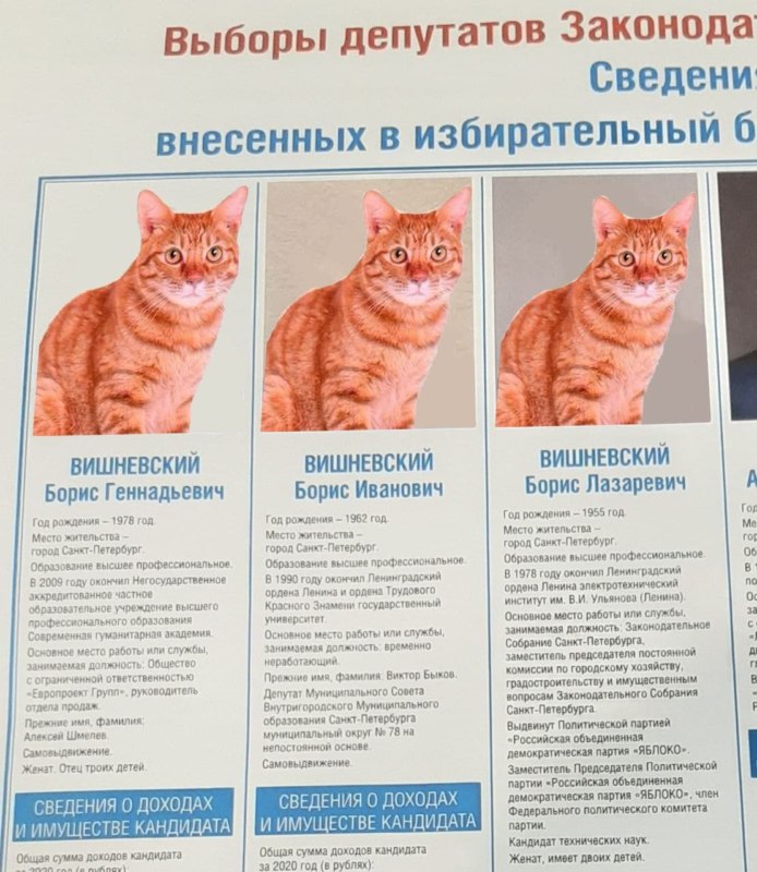 Борис Вишневский мем