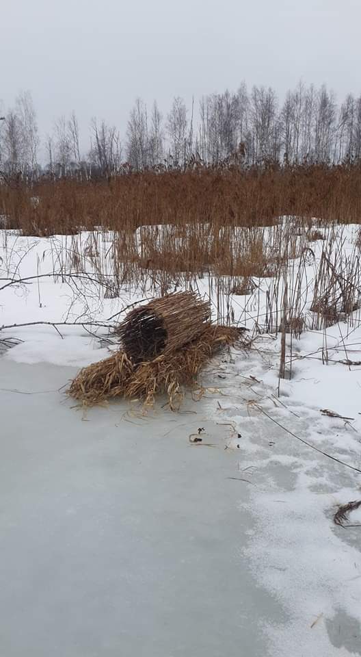 Гнезда для уток. Опыт специалистов