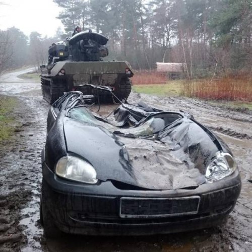 Свежие прикольные фото и картинки 