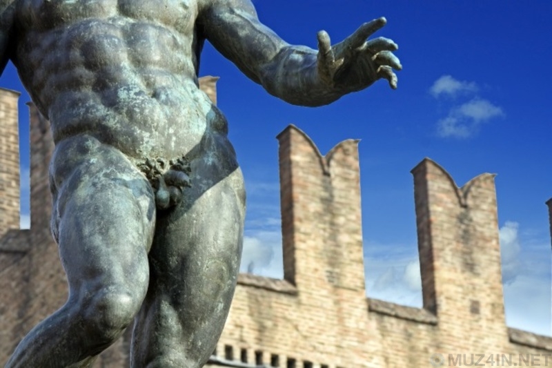 10 забавных, но ложных теорий о пенисе мифы и факты,пенис