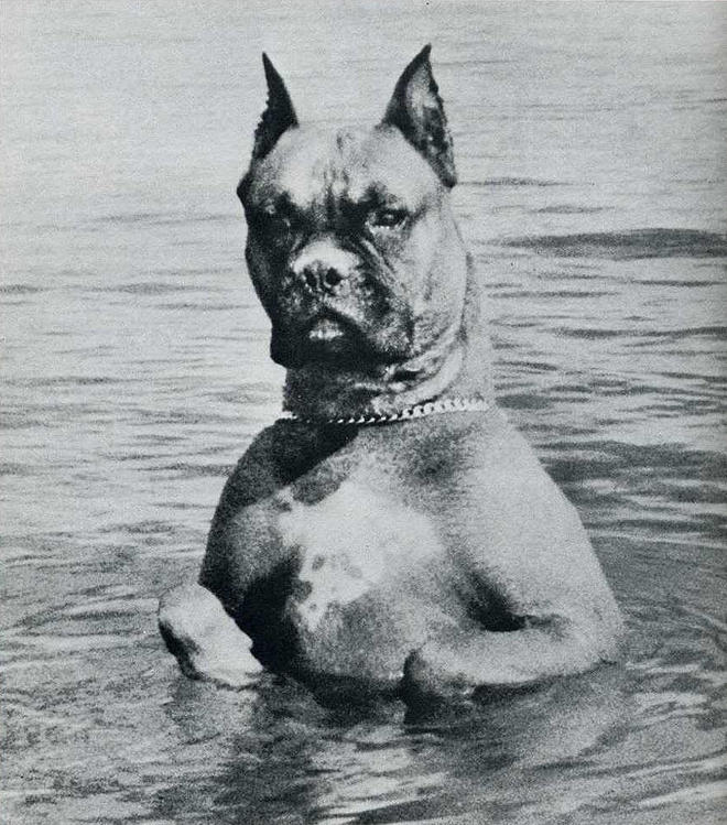 Лови момент истории: 35 самых удачных фото, украшавших журнал LIFE 