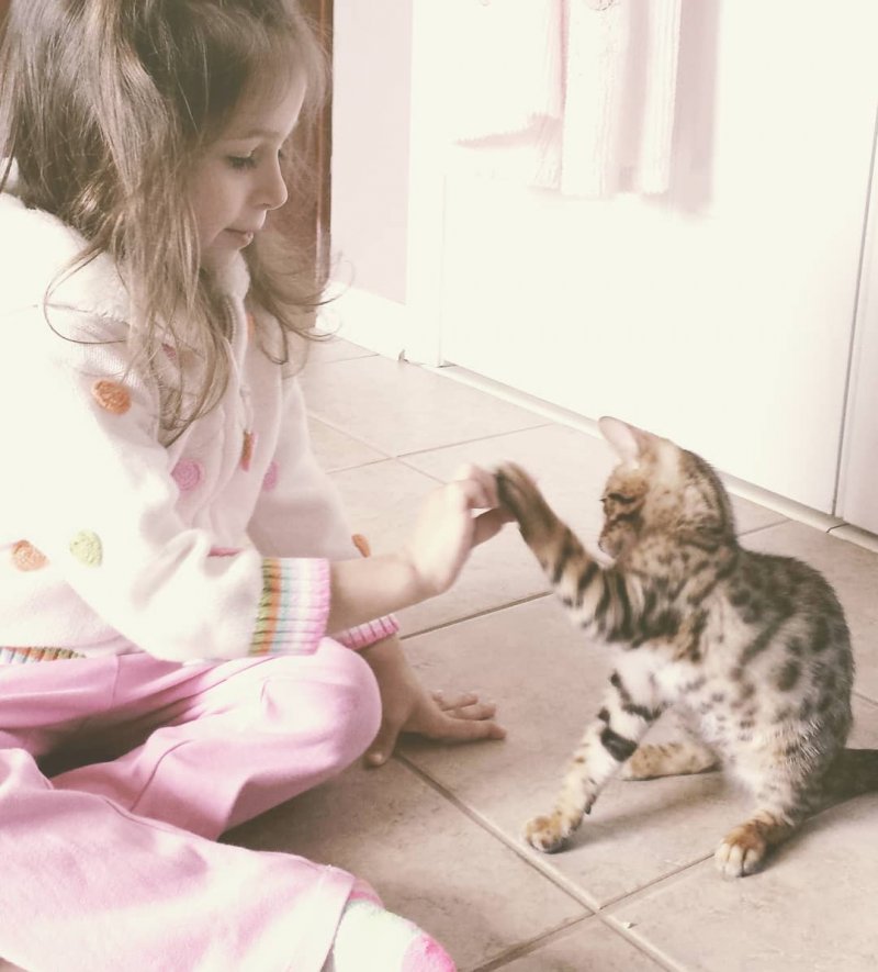 20 фотопримеров трогательной дружбы детей и кошек дети, животные, кот, котенок