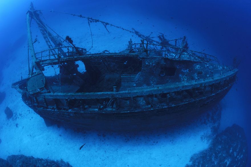 Что мы сможем увидеть, если океаны станут прозрачными 