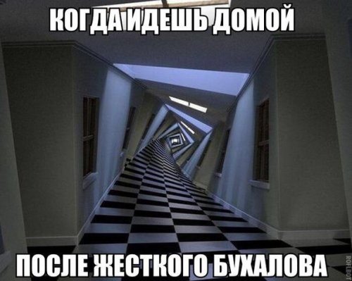 Новые фотомемы на Бугаге (23 шт)