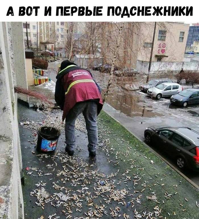 Мемы и картинки 
