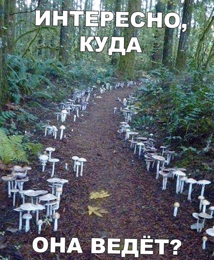 Лучшие шутки для вашего хорошего настроения 