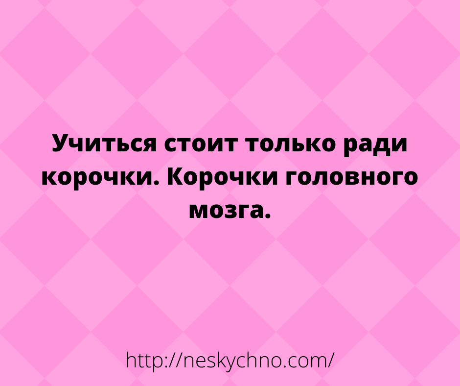 Смешные анекдоты с неожиданным финалом для хорошего настроения 