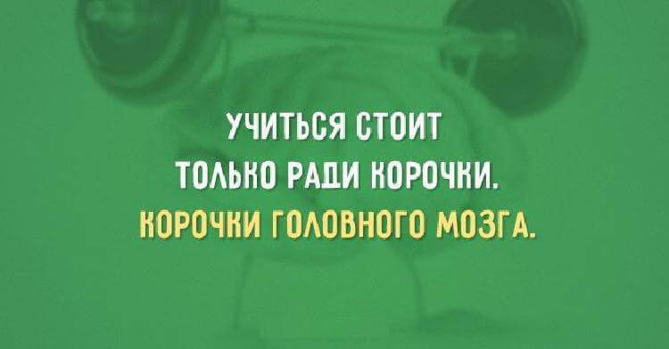 Прикольные «актрытки» с игрой слов Прикольные «актрытки» с игрой слов