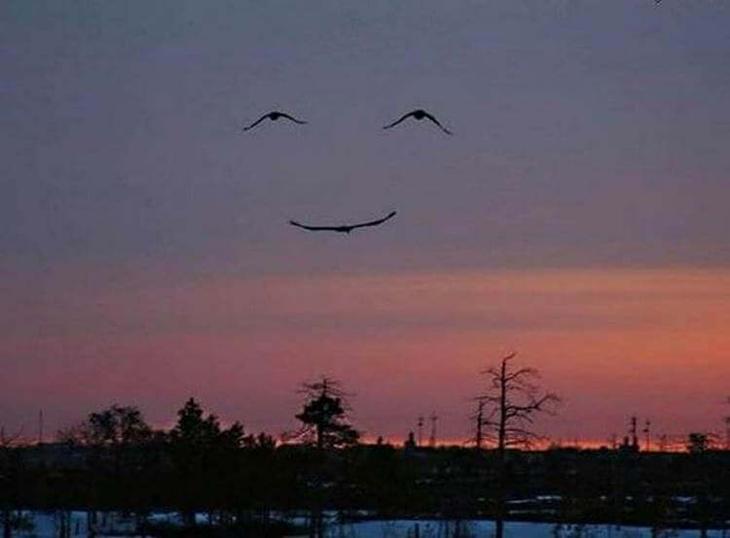 35 смешных до слез фотографии а-ля «в нужное время и в нужном месте» 35 смешных до слез фотографии а-ля «в нужное время и в нужном месте»