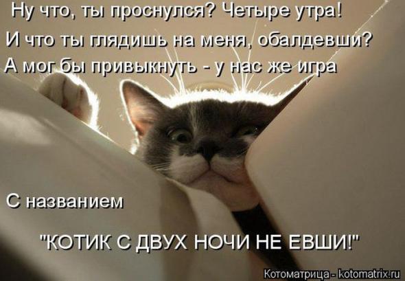 Котоматрицы (картинки с надписями)