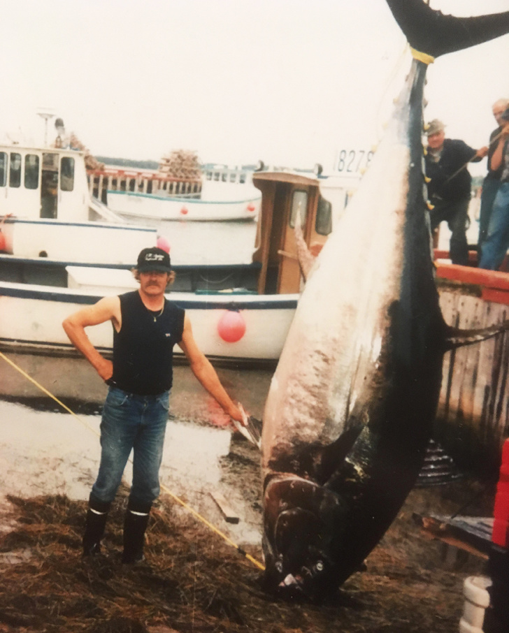 20+ фотографий родителей в молодости, которыми гордятся и восхищаются их выросшие дети 20+ фотографий родителей в молодости, которыми гордятся и восхищаются их выросшие дети воспитание,Дети,Жизнь,Истории,Отношения,проблемы