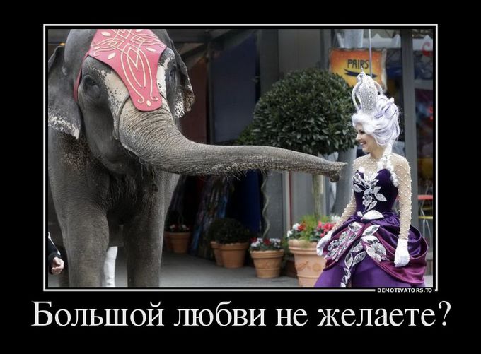 Подборка интересных и веселых картинок №55 Подборка интересных и веселых картинок №55 отдых