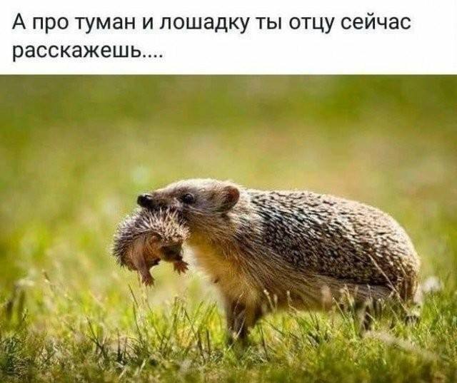 В семье жена отвечает за чистоту, - а муж за частоту веселые картинки