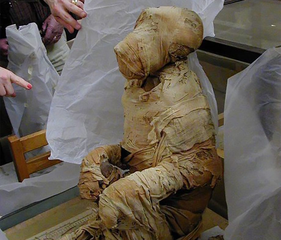 ​Мумия бабуина, привезённого моряками Хатшепсут из Пунта. britishmuseum.org - Хатшепсут — владычица Древнего Египта | Warspot.ru