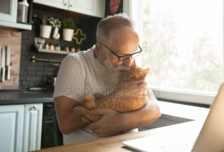 Картинки по запросу пожилой мужчина и кот