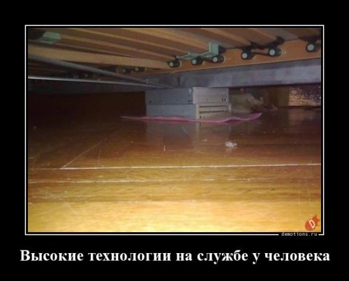 Прикольные демотиваторы для отличного настроения