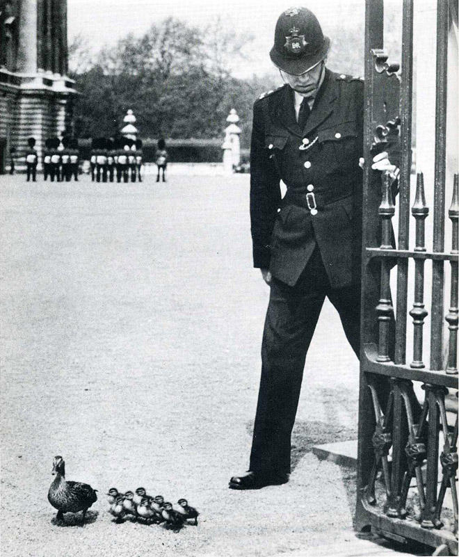 Лови момент истории: 35 самых удачных фото, украшавших журнал LIFE 