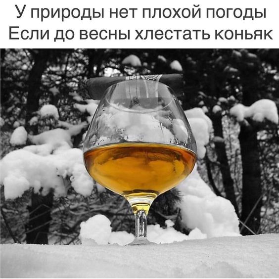 Яркая подборка с отменным юмором Яркая подборка с отменным юмором