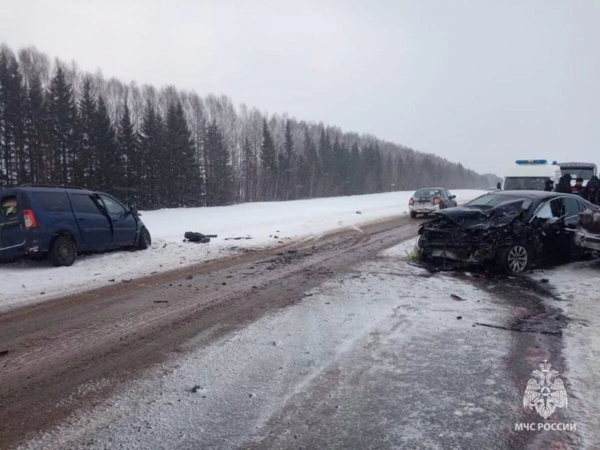 В лобовой аварии с машиной министра здравоохранения Башкортостана погибли два человека