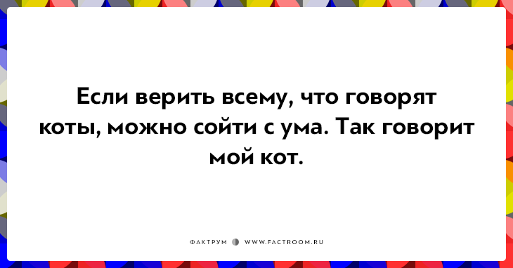 20 открыток о нелегкой жизни котов и их владельцев 20 открыток о нелегкой жизни котов и их владельцев