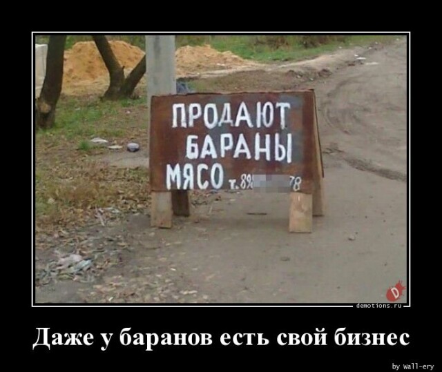 Свежая порция юмора и приколов для вашего отличного настроения! Свежая порция юмора и приколов для вашего отличного настроения!