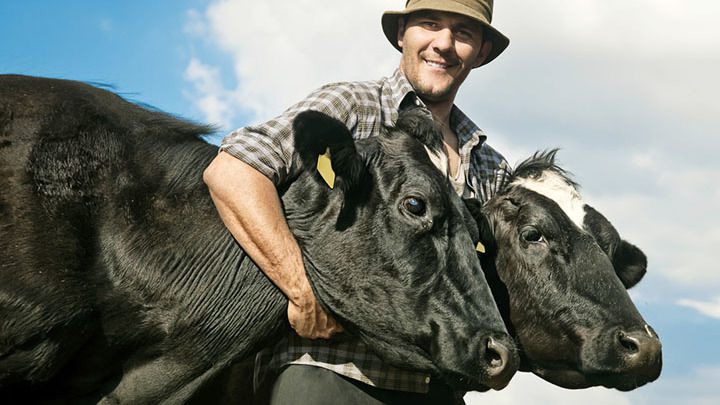 ЖЕНИТЬСЯ НА КОРОВЕ: В ИСПАНИИ УЗАКОНИЛИ ЗООФИЛИЮ