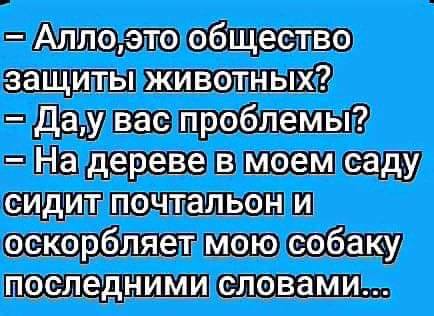 Каждый раз, стоит мне купить новые тапки, с котом случается истерика Каждый раз, стоит мне купить новые тапки, с котом случается истерика анекдоты,веселье,демотиваторы,приколы,смех,юмор
