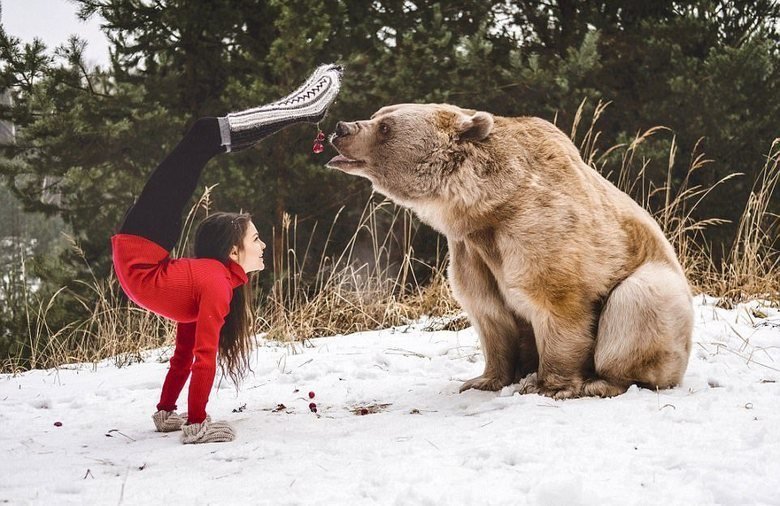 11. Обычные развлечения в стране. С медведем. действительность, медведи, россия, русский, фото, экстрим