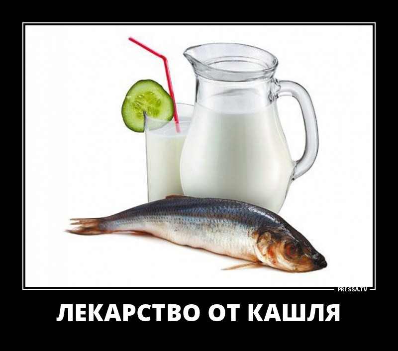 Смешные и веселые жизненные демотиваторы Смешные и веселые жизненные демотиваторы