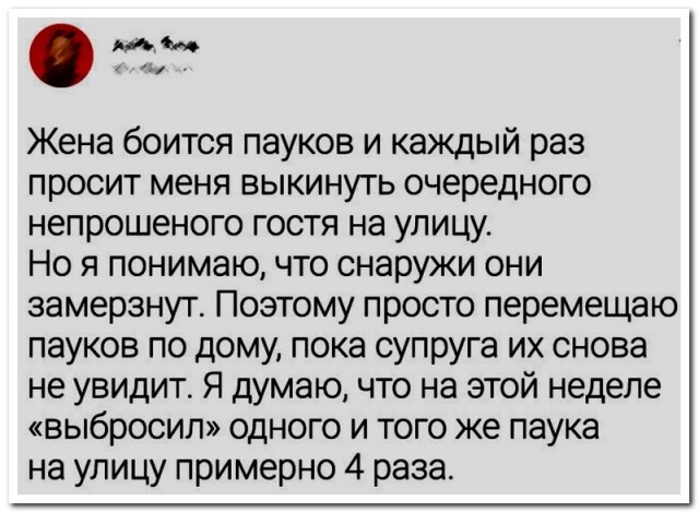 Свежая коллекция прикольных комментариев Свежая коллекция прикольных комментариев