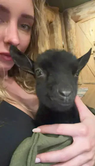 Юлия Вавилова