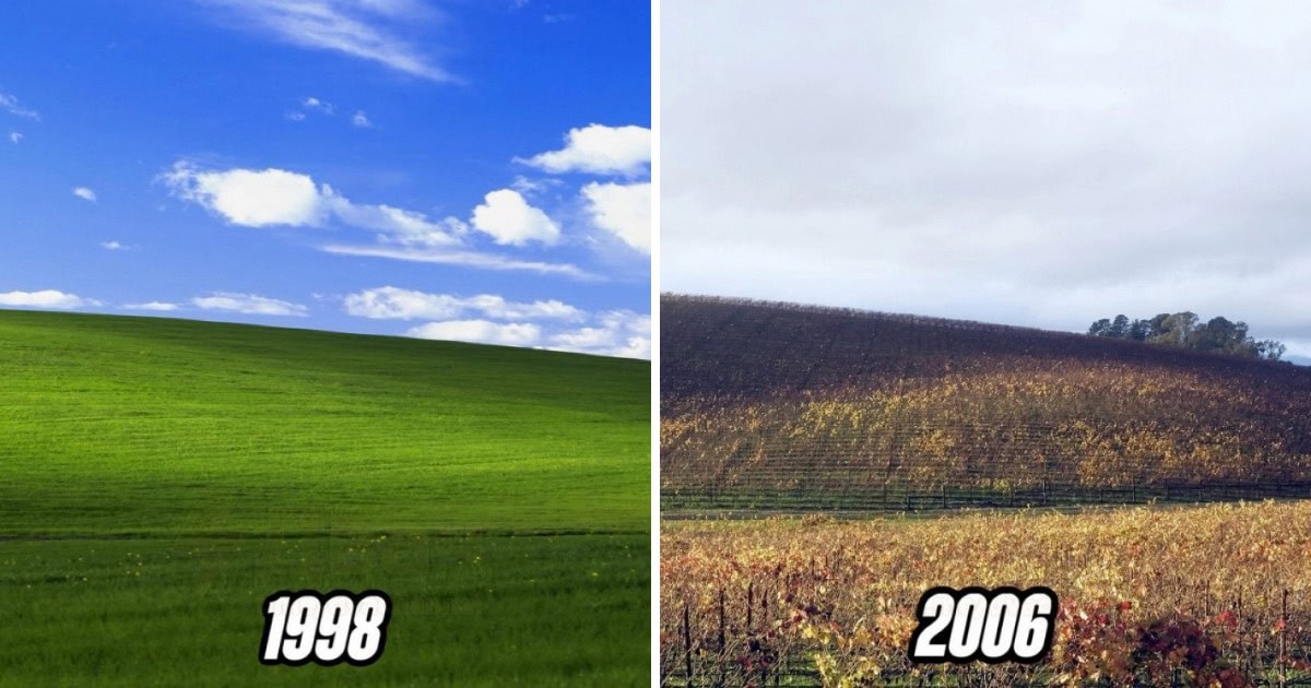 В сети показали, как выглядит место с заставки Windows XP в 1998, 2006, 2020, 2024 и 2025 годах