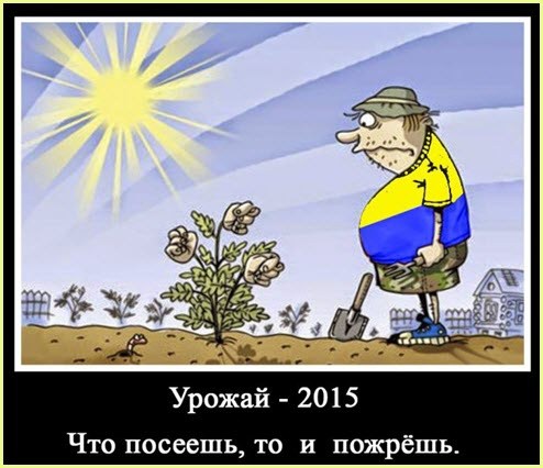 Огородные страсти