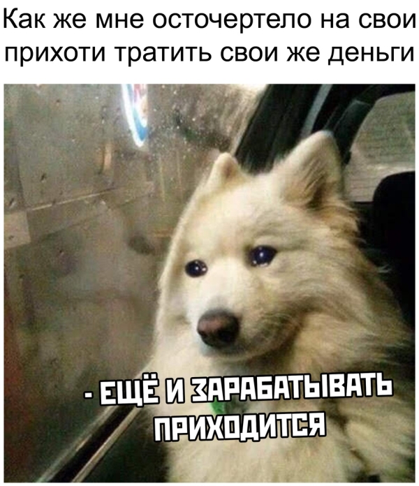 Подборка веселых, смешных и забавных надписей к картинкам со смыслом Подборка веселых, смешных и забавных надписей к картинкам со смыслом картинки с надписями,красивые фотографии,приколы,прикольные картинки,юмор