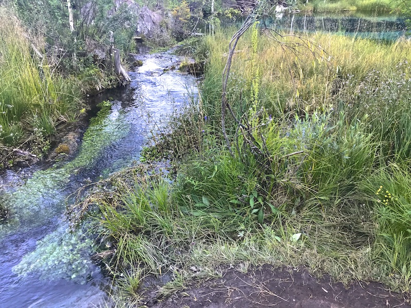 Путешествие на Алтай. К Голубому озеру через перевал Чике-Таман 