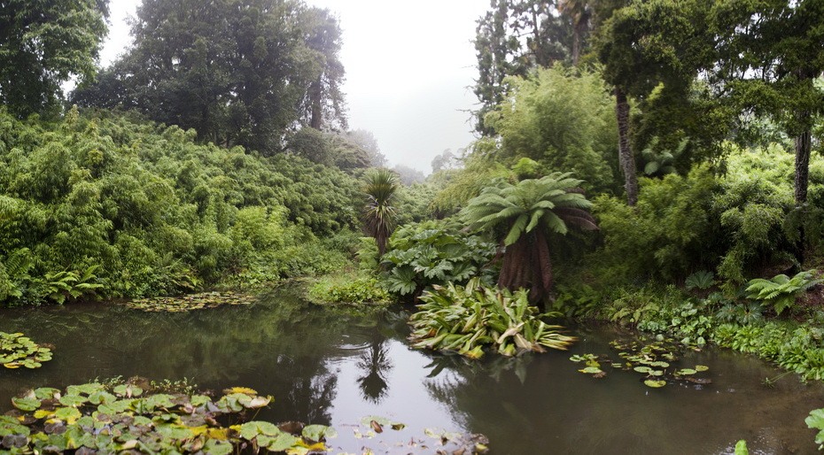 Затерянные сады Хэлигана ботанический сад,Великобритания,достопримечательности,интересное,природа,путешествия